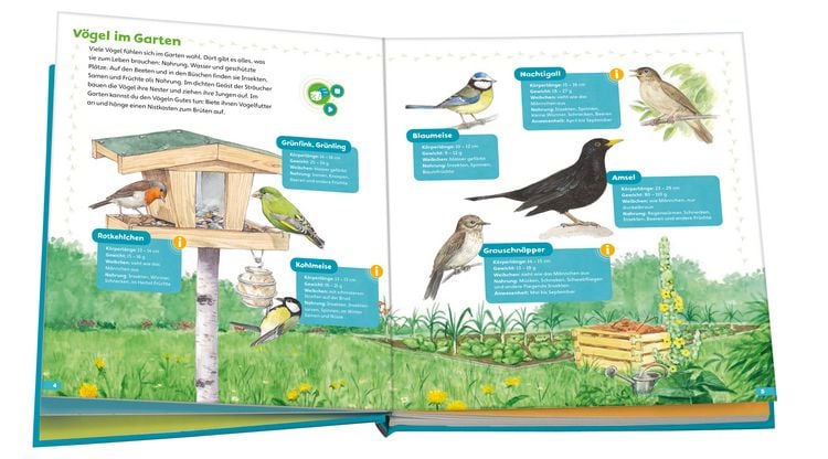 Produktbild: BOOKii&reg; H&ouml;ren und Staunen Heimische V&ouml;gel
