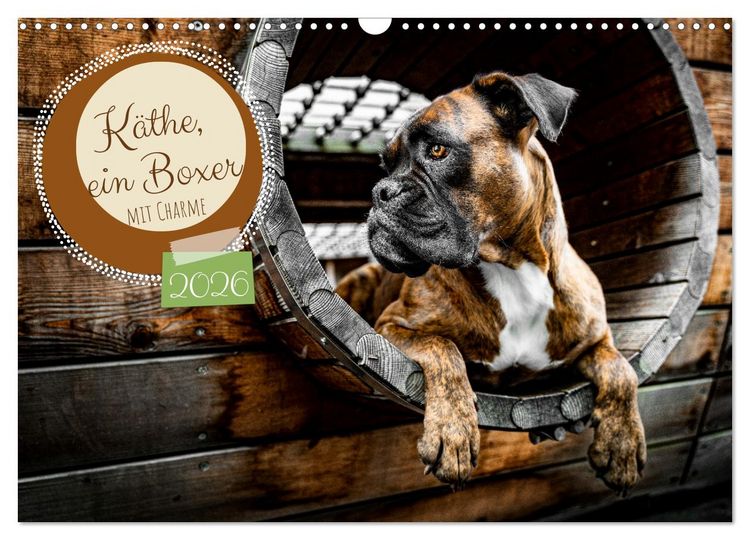 Produktbild: K&auml;the - ein Boxer mit Charme (Wandkalender 2026 DIN A3 quer), CALVENDO Monatskalender