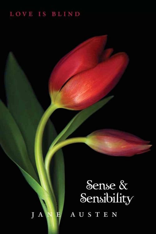Produktbild: Sense & Sensibility