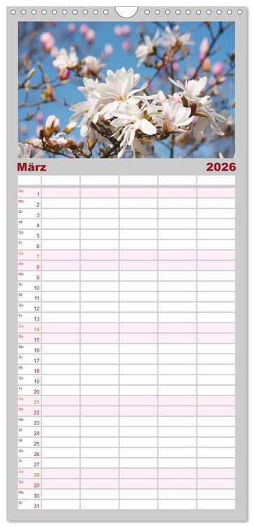 Produktbild: Familienplaner 2026 - Magnolien Ein Bl&uuml;tenrausch mit 5 Spalten (Wandkalender, 21 x 45 cm) CALVENDO