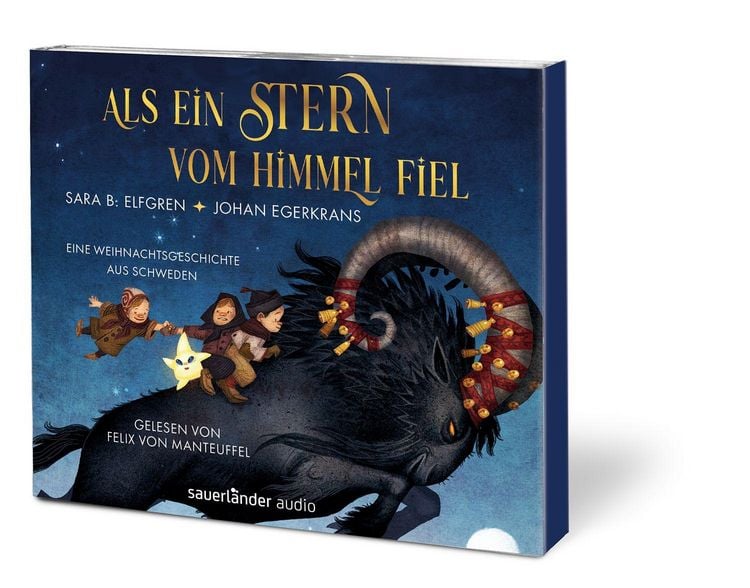 Produktbild: Als ein Stern vom Himmel fiel
