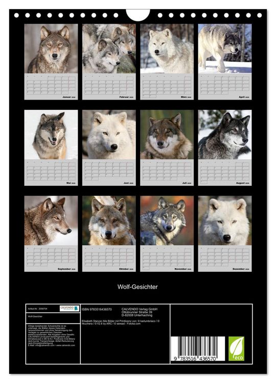 Produktbild: Wolf-Gesichter (Wandkalender 2026 DIN A4 hoch), CALVENDO Monatskalender