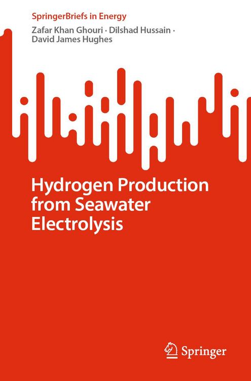 Produktbild: Hydrogen Production from Seawater Electrolysis
