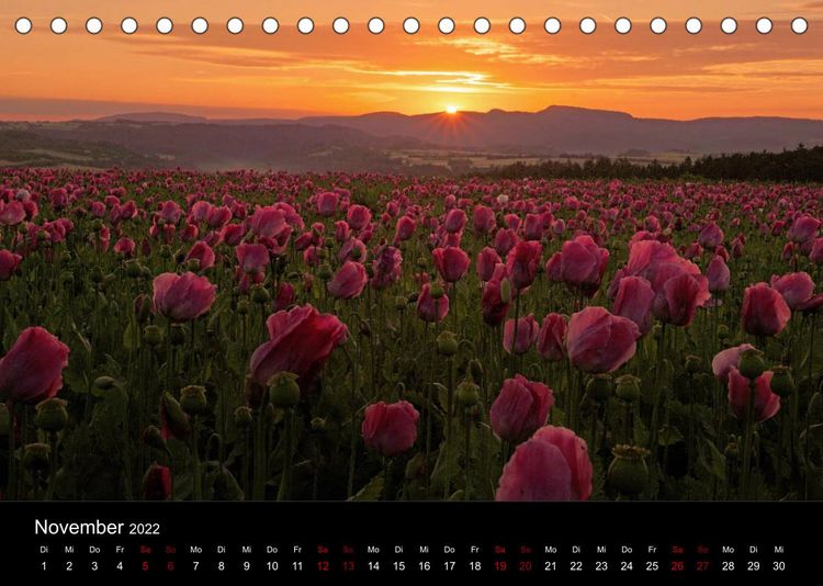Produktbild: Mohnbl&uuml;te in Germerode (Tischkalender 2022 DIN A5 quer)