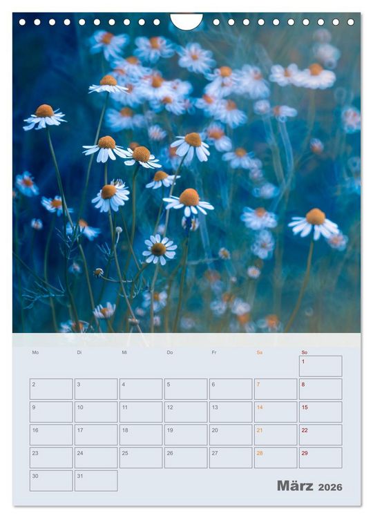 Produktbild: Magie im Garten (Wandkalender 2026 DIN A4 hoch), CALVENDO Monatskalender
