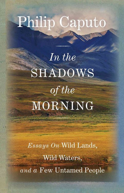 Produktbild: In the Shadows of the Morning