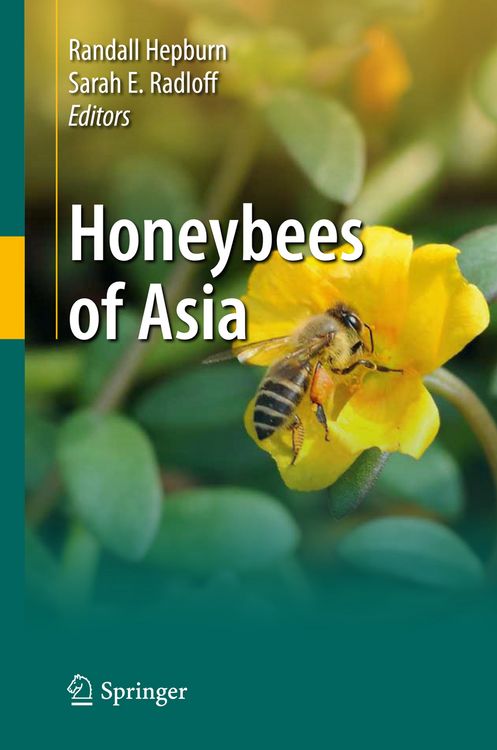 Produktbild: Honeybees of Asia