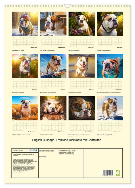 Produktbild: English Bulldogs. Fr&ouml;hliche Dickk&ouml;pfe mit Charakter (Wandkalender 2026 DIN A2 hoch), CALVENDO Monatskalender