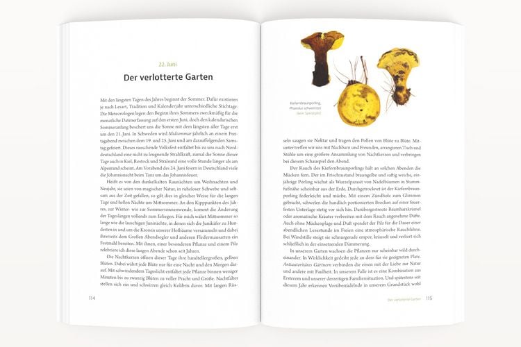 Produktbild: Pilzen begegnen