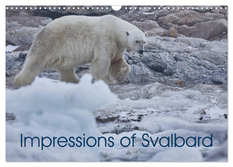 Produktbild: Impressions of Svalbard (Wall Calendar 2026 DIN A3 landscape), CALVENDO 12 Month Wall Calendar