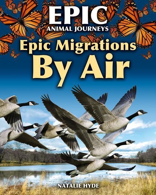 Produktbild: Epic Migrations by Air