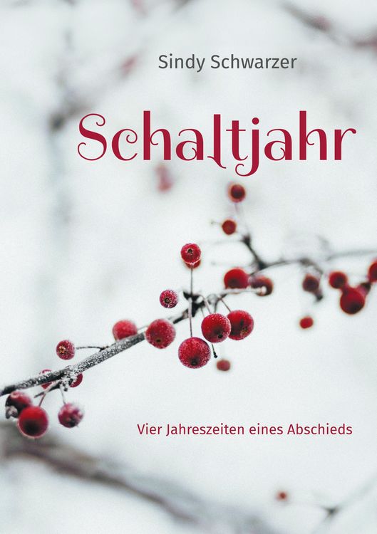Produktbild: Schaltjahr