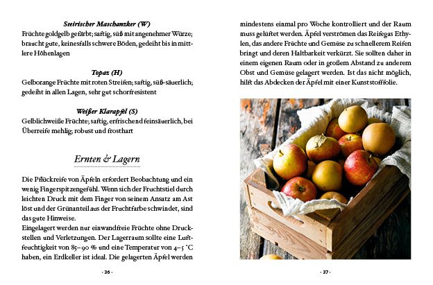 Produktbild: Das große kleine Buch: Obstbäume in unserem Garten