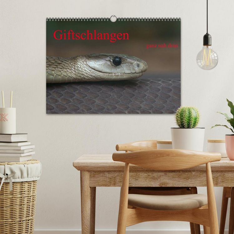 Produktbild: Giftschlangen, ganz nah dran (Wandkalender 2026 DIN A3 quer), CALVENDO Monatskalender