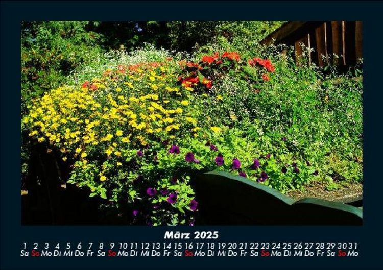 Produktbild: Blumentr&auml;ume 2025 Fotokalender DIN A5