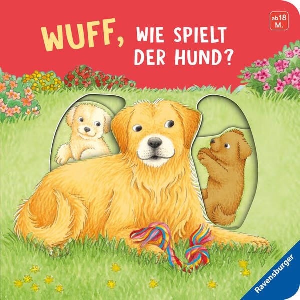 Produktbild: Wuff, wie spielt der Hund?