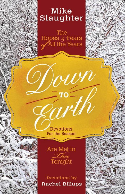 Produktbild: Down to Earth Devotions for the Season