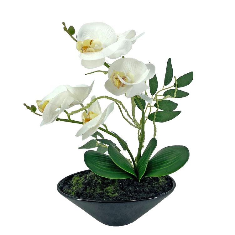 Bild vom Artikel NTK-Collection Kunstblume Orchidee in Schale Leilani vom Autor 