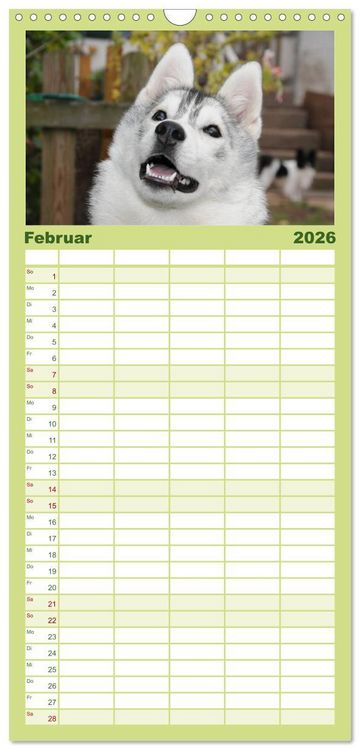 Produktbild: Familienplaner 2026 - Siberian Husky - der Urtyp mit 5 Spalten (Wandkalender, 21 x 45 cm) CALVENDO