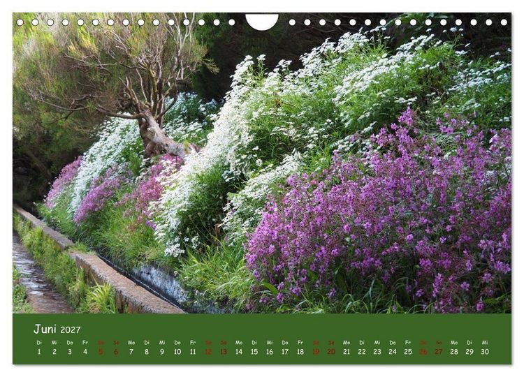 Produktbild: Levadawandern auf Madeira (Wandkalender 2027 DIN A4 quer), CALVENDO Monatskalender