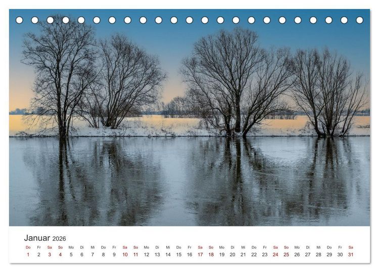 Produktbild: B&auml;ume - Gelebtes Leben (Tischkalender 2026 DIN A5 quer), CALVENDO Monatskalender