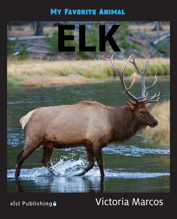 Produktbild: My Favorite Animal
