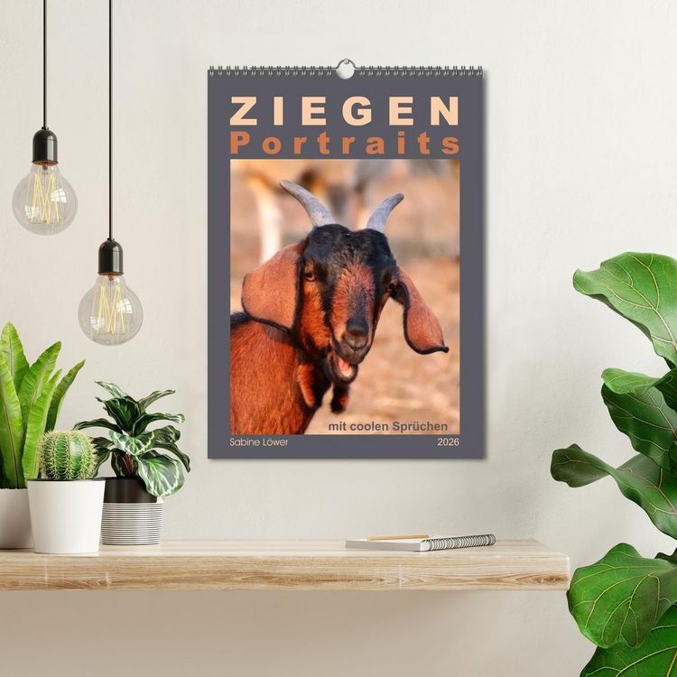 Produktbild: Ziegenportraits (Wandkalender 2026 DIN A3 hoch), CALVENDO Monatskalender