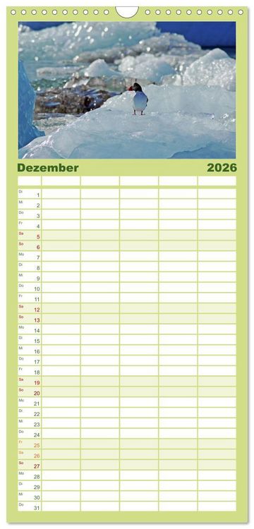 Produktbild: Familienplaner 2026 - Papageitaucher - Clowns der nordischen Vogelwelt mit 5 Spalten (Wandkalender, 21 x 45 cm) CALVENDO