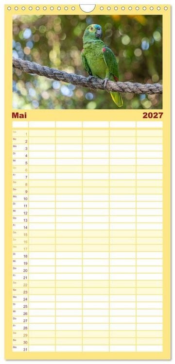 Produktbild: Familienplaner 2027 - Aras und bunte Sittiche: Exotische Papageien-Portr&auml;ts mit 5 Spalten (Wandkalender, 21 x 45 cm) CALVENDO