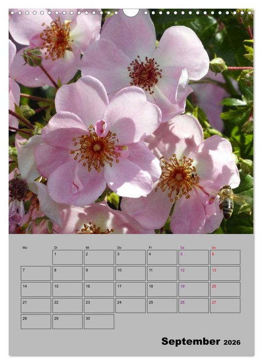Produktbild: Rosen - Symbol der Liebe und Verehrung (Wandkalender 2026 DIN A3 hoch), CALVENDO Monatskalender