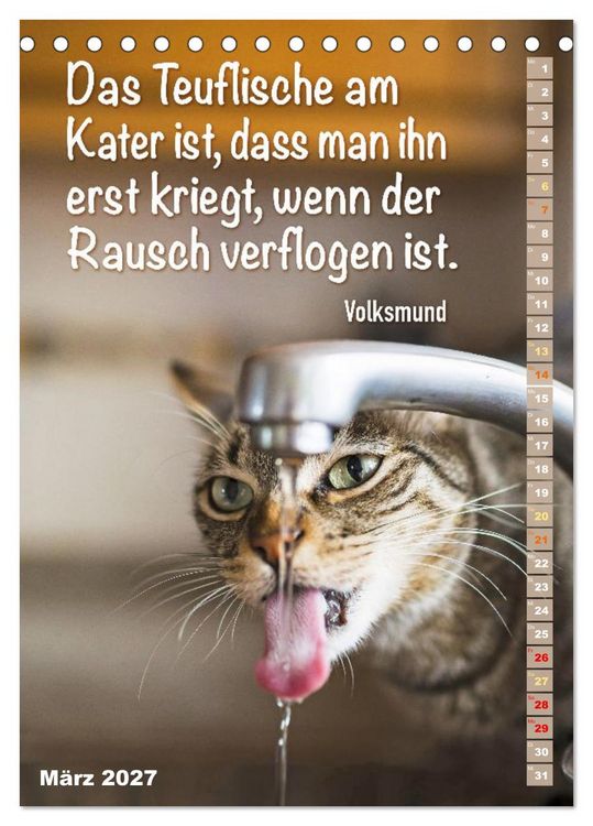 Produktbild: Der literarische Katerkalender (Tischkalender 2027 DIN A5 hoch), CALVENDO Monatskalender