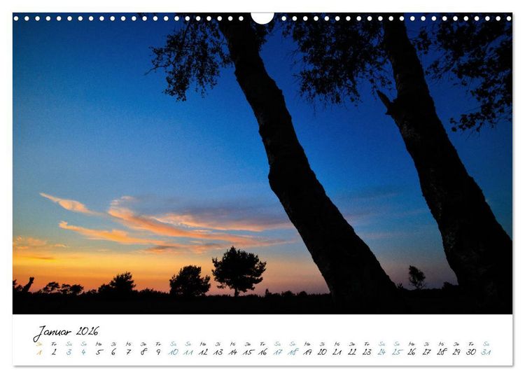 Produktbild: In der Welt der B&auml;ume (Wandkalender 2026 DIN A3 quer), CALVENDO Monatskalender