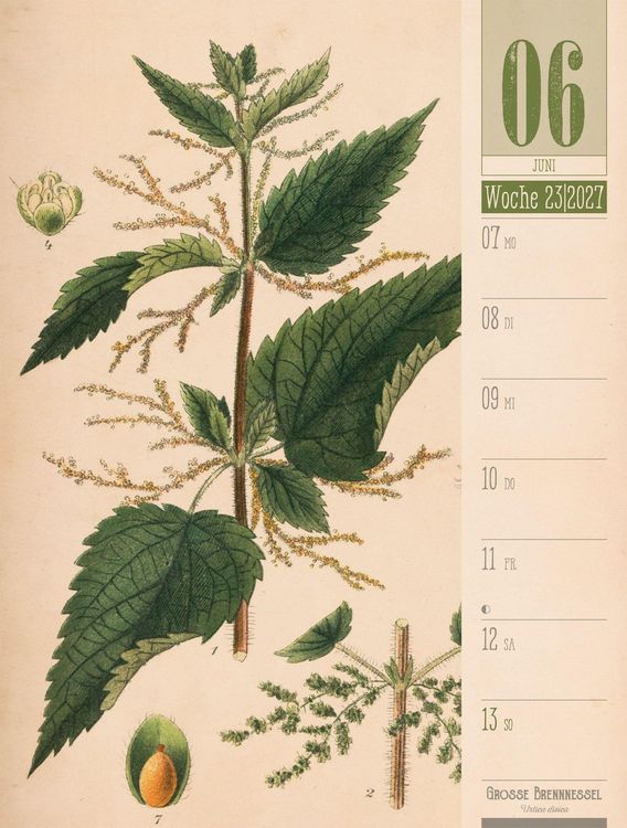 Produktbild: Culinarium Wochenplaner Kalender 2027 | K&uuml;che, Kr&auml;uter, Kurioses