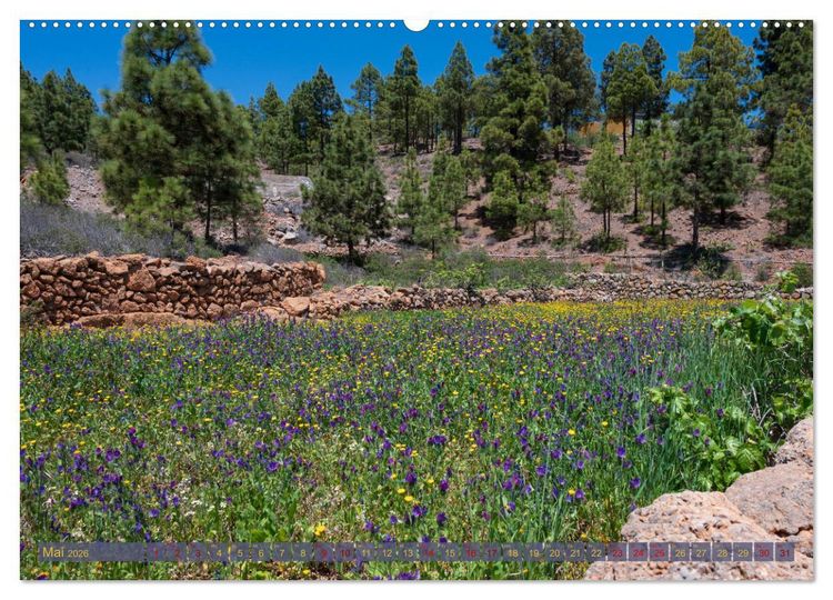 Produktbild: Landschaften der Kanaren - Traumziele f&uuml;r Wanderer (Wandkalender 2026 DIN A2 quer), CALVENDO Monatskalender