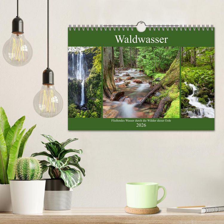 Produktbild: Waldwasser (Wandkalender 2026 DIN A4 quer), CALVENDO Monatskalender