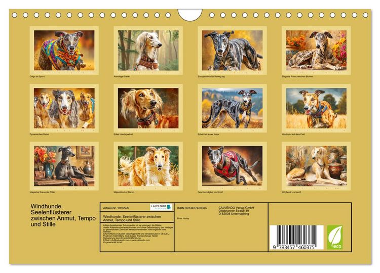 Produktbild: Windhunde. Seelenfl&uuml;sterer zwischen Anmut, Tempo und Stille (Wandkalender 2026 DIN A4 quer), CALVENDO Monatskalender