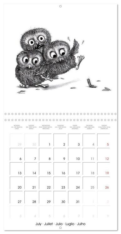 Produktbild: owls and mates 2026 (Wall Calendar 2026 12 &times; 12 Inch) CALVENDO 12 Month Wall Calendar