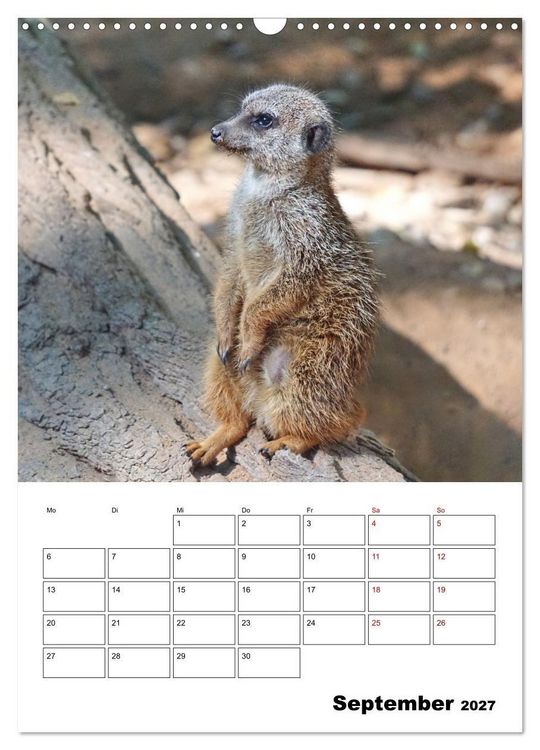 Produktbild: Niedliche Erdm&auml;nnchen (Wandkalender 2027 DIN A3 hoch), CALVENDO Monatskalender