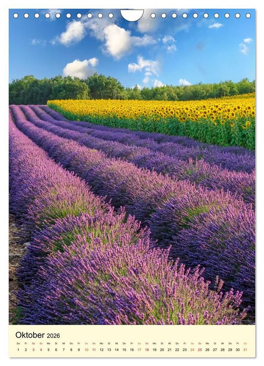 Produktbild: Provence Lavendel Paradies (Wandkalender 2026 DIN A4 hoch), CALVENDO Monatskalender