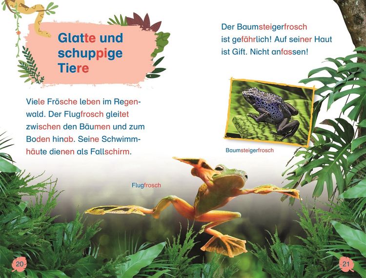 Produktbild: SUPERLESER! Kennenlern-Paket (8 B&auml;nde)
