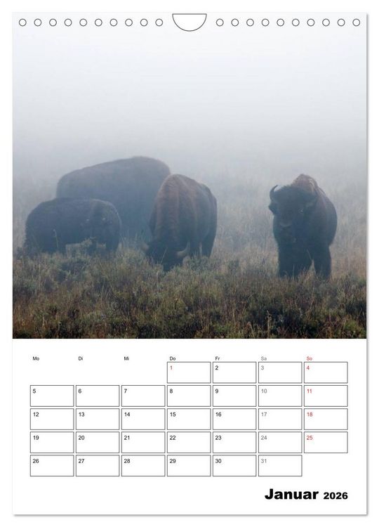 Produktbild: Yellowstone und Grand Tetons Nationalparks (Wandkalender 2026 DIN A4 hoch), CALVENDO Monatskalender