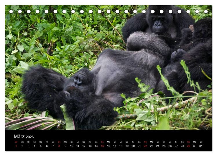 Produktbild: Afrika (Tischkalender 2026 DIN A5 quer), CALVENDO Monatskalender