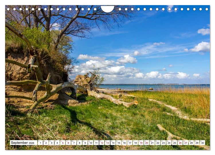 Produktbild: Beckerwitz - Impressionen aus der Wohlenberger Wiek (Wismarer Bucht) (Wandkalender 2026 DIN A4 quer), CALVENDO Monatskalender