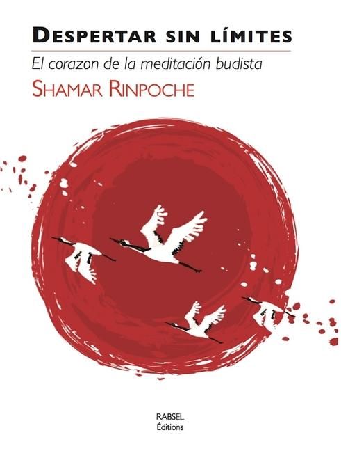 Produktbild: Despertar Sin Limites