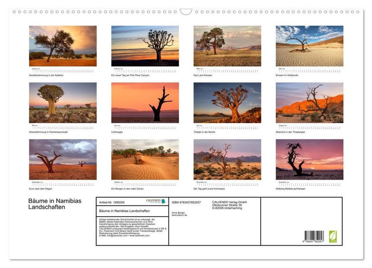 Produktbild: B&auml;ume in Namibias Landschaften (Wandkalender 2026 DIN A2 quer), CALVENDO Monatskalender