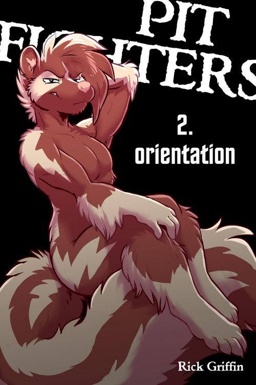 Produktbild: Pit Fighters 2. Orientation