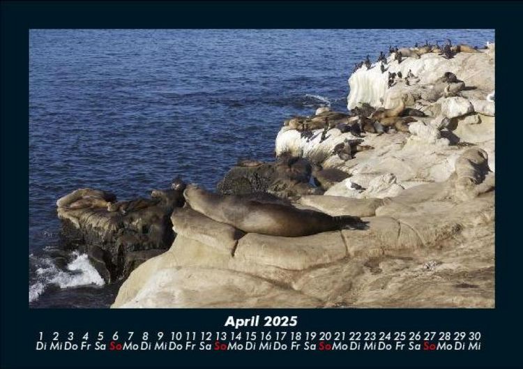 Produktbild: Seeblick 2025 Fotokalender DIN A5