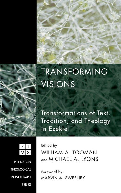 Produktbild: Transforming Visions