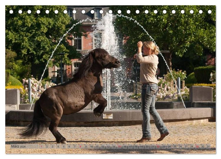 Produktbild: Natural Horsemanship - Partnerschaft mit Pferden (Tischkalender 2026 DIN A5 quer), CALVENDO Monatskalender