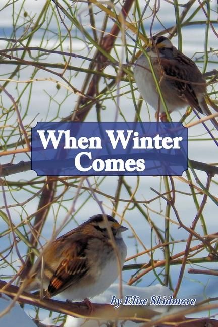 Produktbild: Skidmore, E: When Winter Comes